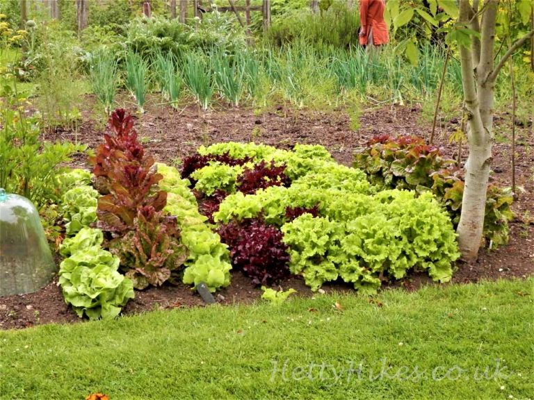 Frampton on Severn Hetty Hikes